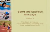 Sport and exercise massage session 3