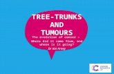 Tumours and Tree Trunks - GeekyScience: Evolution