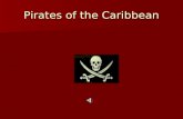 Pirates Book week