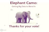 Elephant Camo: Getting Big Data to Blend In [SXSW Proposal Teaser]