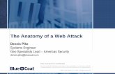 2010-11 The Anatomy of a Web Attack