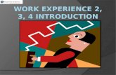 Work experience 2,3,4 Presentation
