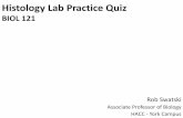 BIOL 121 Histology Lab Review Quiz