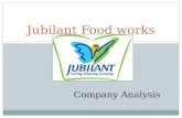 Jubilant foodworks company analysis