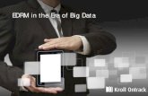 EDRM in the Era of Big Data