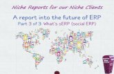 A report into the future of erp part 3 of 3 mb
