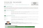 Pmi pmp-resume template-5