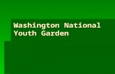 Internship   National Youth Garden