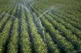 Prospects for public private partnership in the irrigation sector