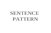 Chap 9 Sentence Patterns