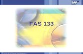FAS133 Regulation hedge accounting.ppt