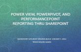 Power View Reporting