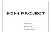 SGM Group Project