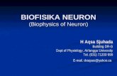 Biofisika Neuron 2006-A