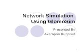 Glomosim Simulator