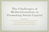 Challenges of Multiculturalism in Promoting Social Capital