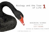 01 Biology and the Tree of Life