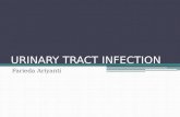 Urinary Tract Infection-Anthie