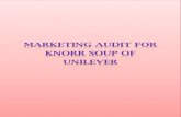 Marketing Audit for Knorr Soup of Unilever