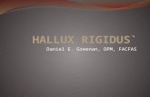 Hallux Rigidus-Daniel Greenan