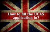 How to fill the UCAS application in?