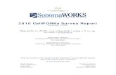 CalWORKs Survey Report (2010)