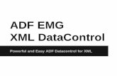 XML Data Control - Oracle OpenWorld Preview AMIS - Richard Olrichs en Wilfred van der Deijl