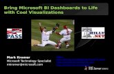 Microsoft BI Cool Data Visualizations