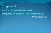 Cultural patterns and communication: Taxonomies