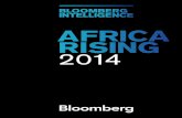 Africa Rising Analyzing Opportunities & Challenges 2014 Bloomberg Intelligence