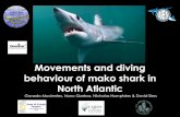 Movements and diving behaviour of mako shark in North Atlantic