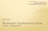 Caching and Microsoft Distributed Cache (aka "Velocity")