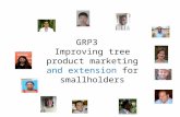 Improving tree product marketing and extension for smallholders