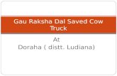 Gau raksha dal saved cow truck in doraha