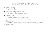 Java Binding for OODB.