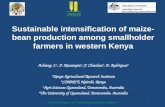 Sustainable intensification of maize-bean production among smallholder farmers in western Kenya. John Achieng