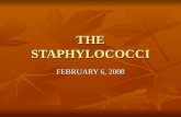 Staphylococci Ppt