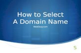 How to-select-domain-name