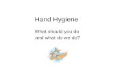 Hand Hygiene   The Facts