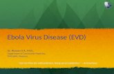 Ebola virus disease/ Ebola outbreak