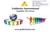 Goldmine International