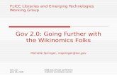 Gov 2.0: Going Further with the Wikinomics Folks - Michelle Springer