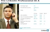 LinkedIn Demographic Data Jun08