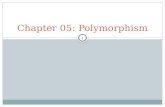 Chapter 05 polymorphism extra