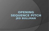 Opening sequence pitch