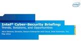 Cyber security-briefing-presentation