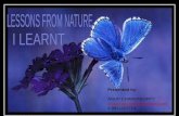 Lessons I learnt from Nature