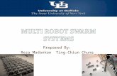 Multi Robot Swarm Systems