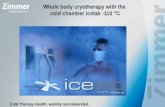 Whole body cryotherapy (wbc) in the cold chamber icelab  minus 110 °C