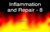 Inflammation 8